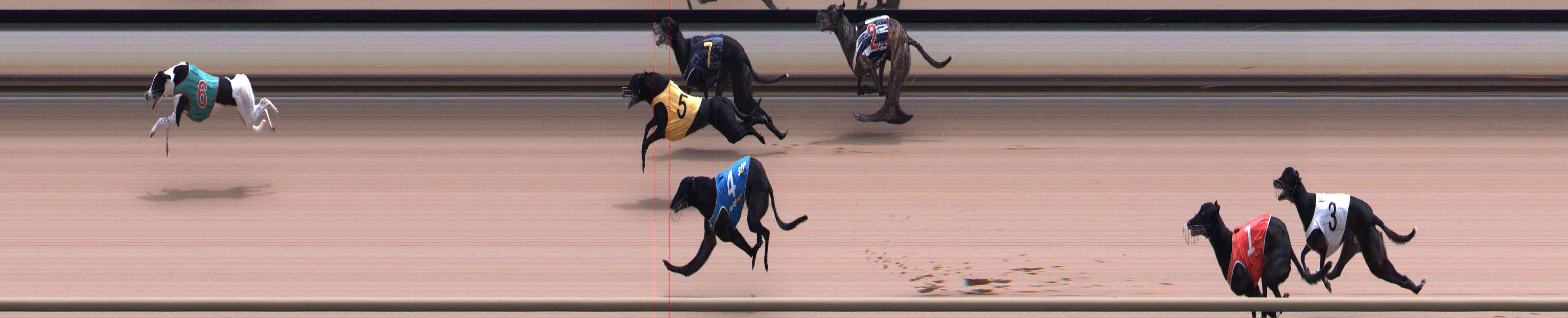 Race result finish photo